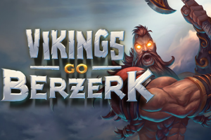 Viking Go Berzerk game icon